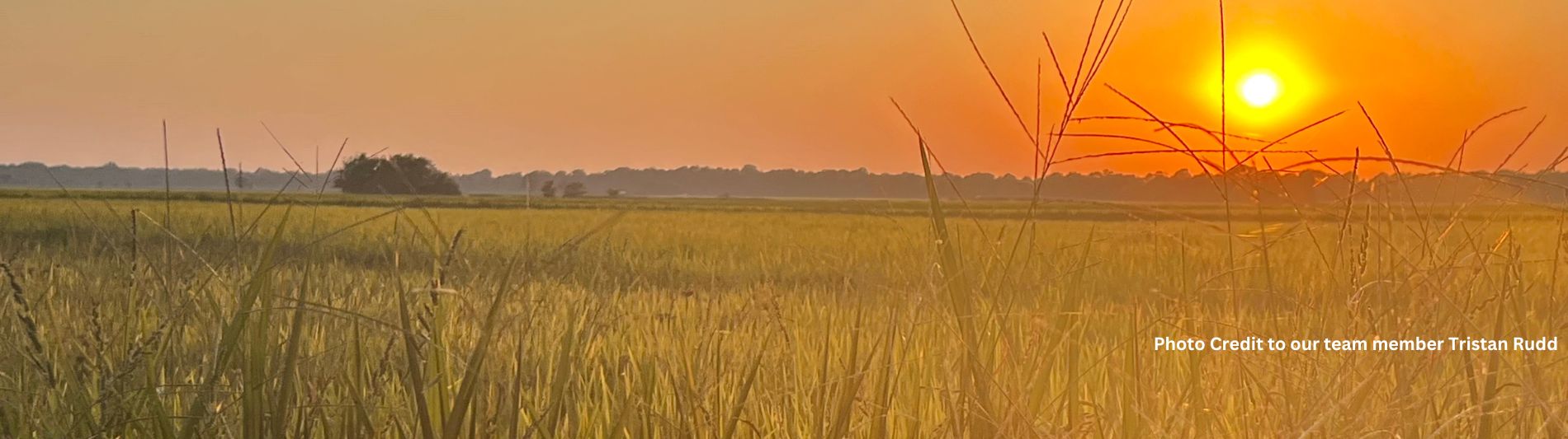 Home Merchants and Planters Bank